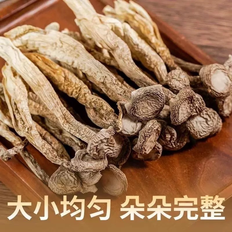 鹿茸菇整箱10斤批发价，餐饮家庭高档实惠食材