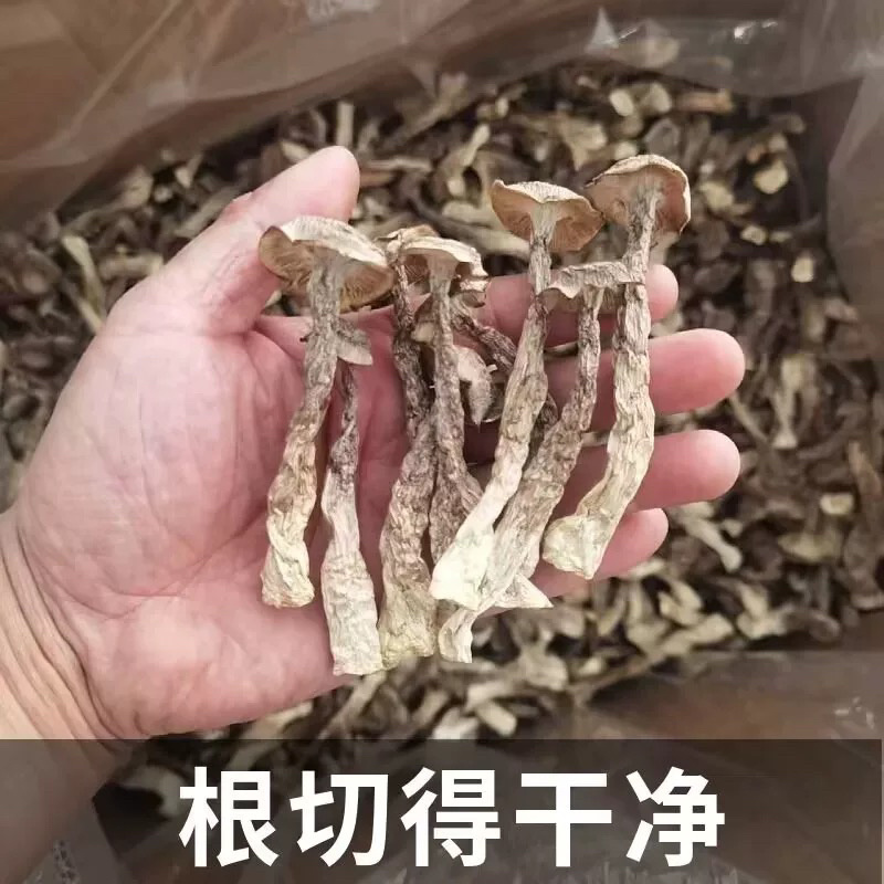 鹿茸菇整箱10斤批发价，餐饮家庭高档实惠食材