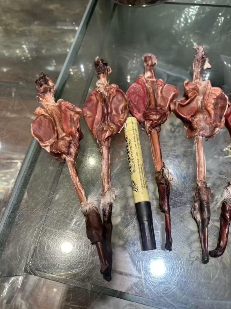 鹿鞭，有干有鲜，原产地发货，多大克数都有，可以大量供货