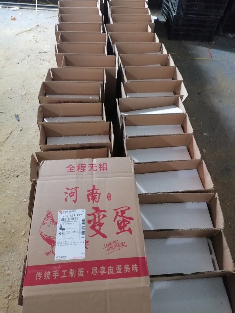 变蛋，活珠子包装厂家直销，规格齐全，价格可谈欢迎电联