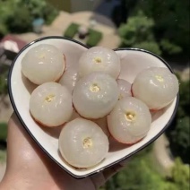 云南妃子笑荔枝产地直发
