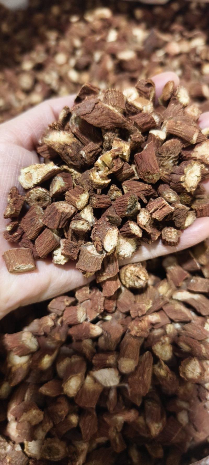 红丹参山东丹参粒大颗粒常年有大货量大从优