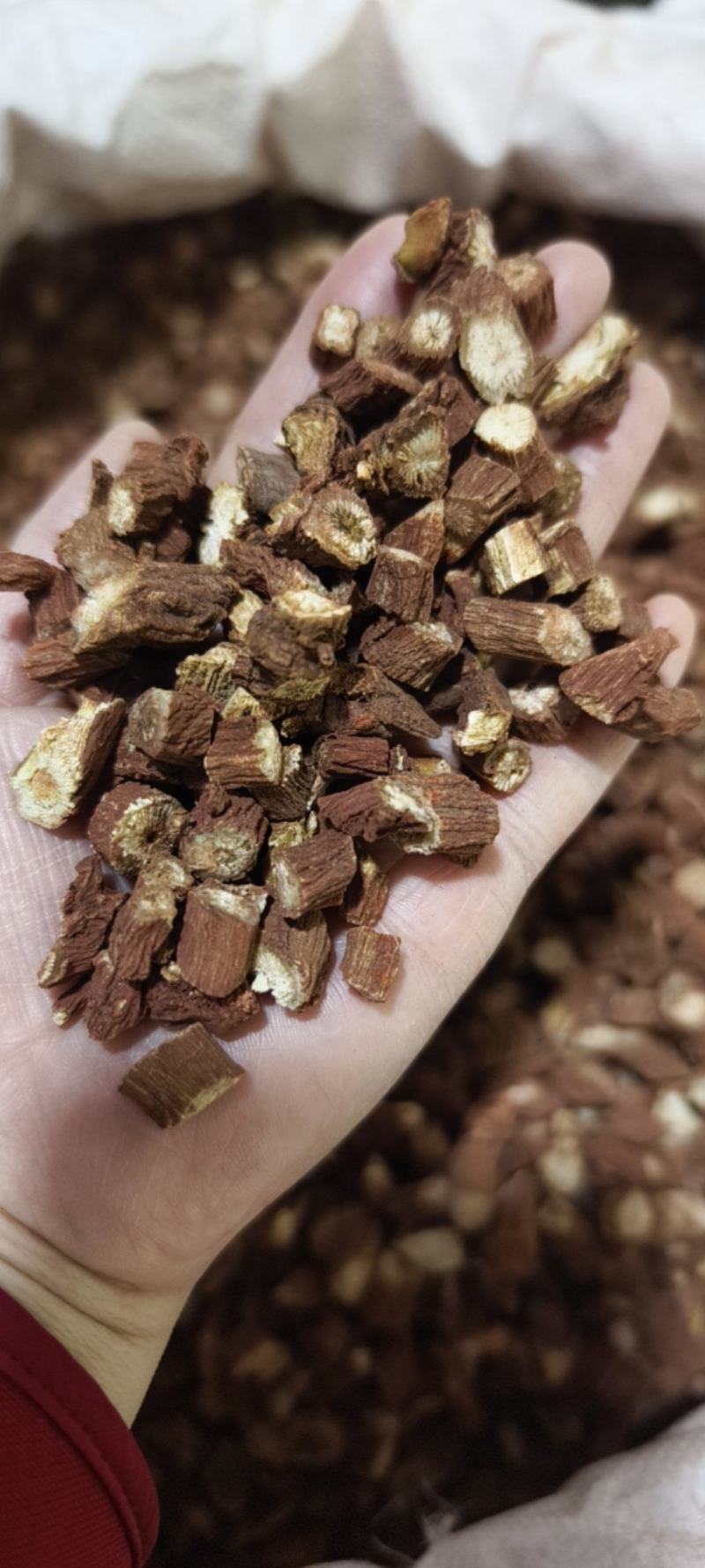 红丹参山东丹参粒大颗粒常年有大货量大从优