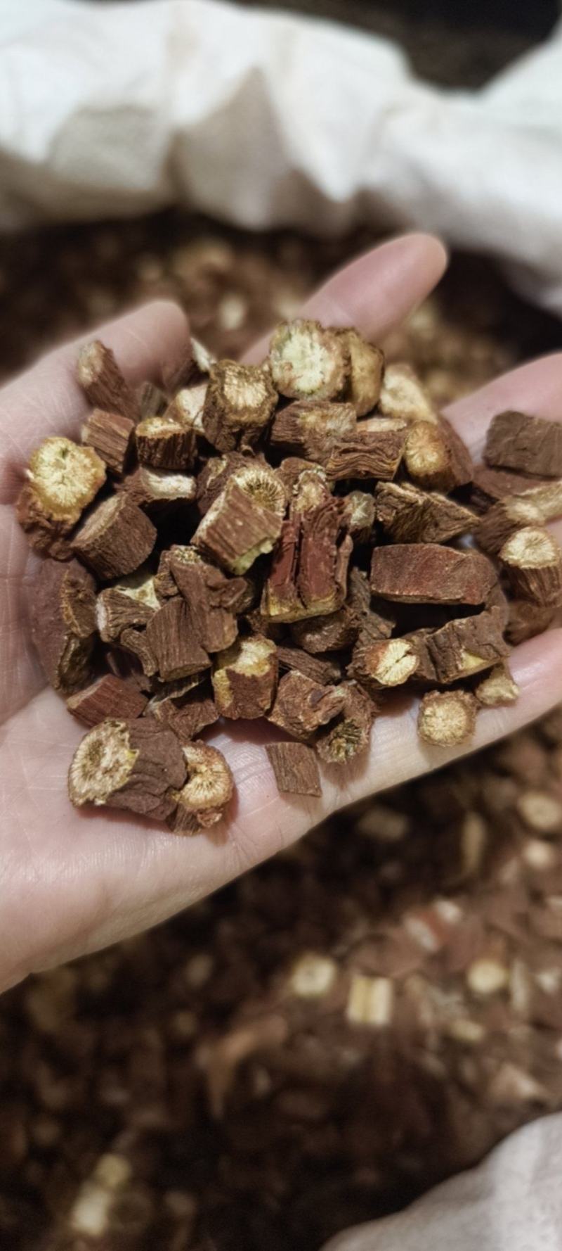 红丹参山东丹参粒大颗粒常年有大货量大从优