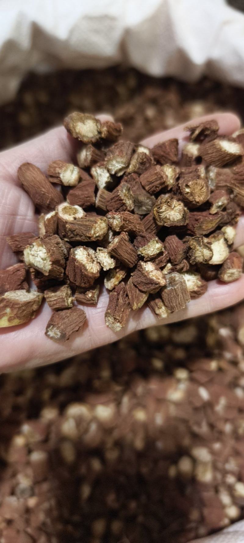 红丹参山东丹参粒大颗粒常年有大货量大从优