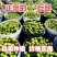 山东青甜2号蜜果圣女果千禧青口蜜小番茄一条龙服务实力供货