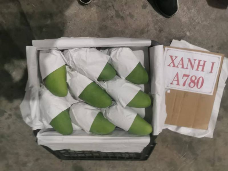 大青芒产地直发，一手货源，一件代发，一件带筐60斤