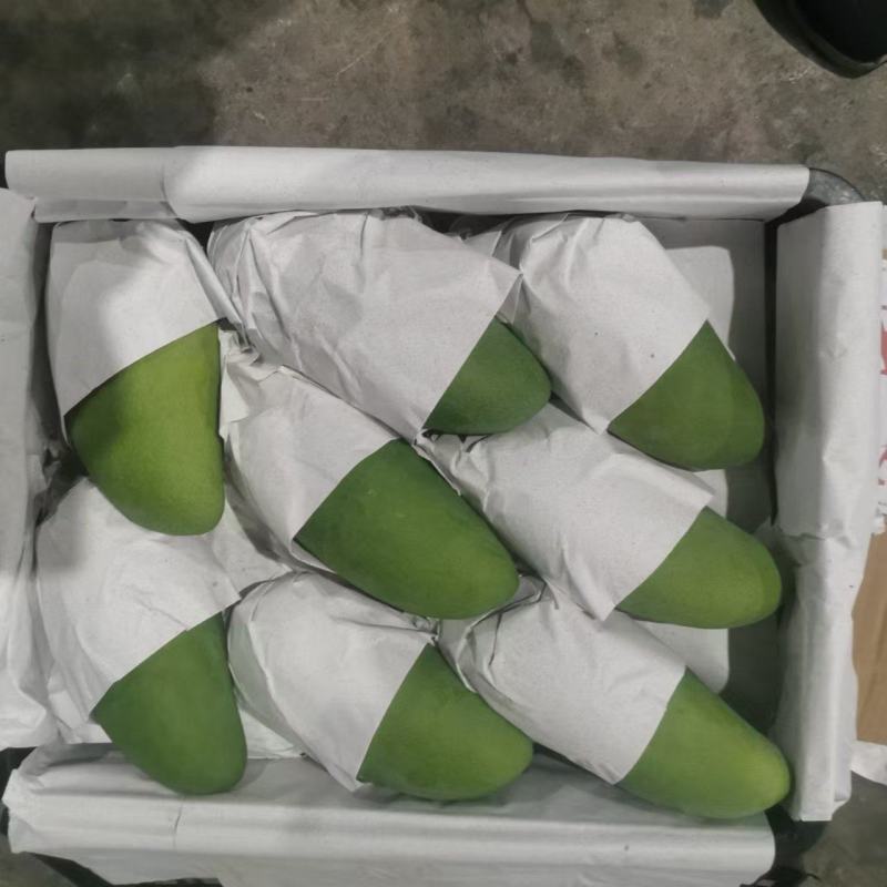 大青芒产地直发，一手货源，一件代发，一件带筐60斤