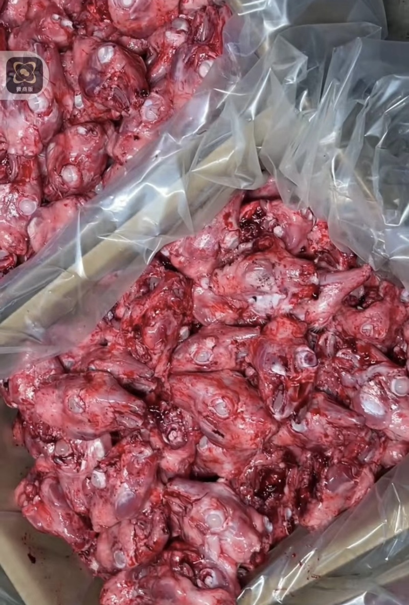 精品兔头山东发货品质保证诚信经营欢迎选购