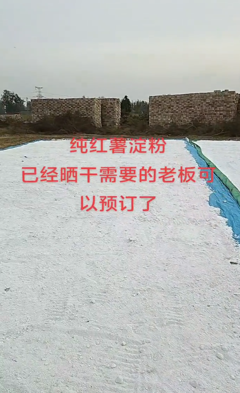 河南纯红薯淀粉
