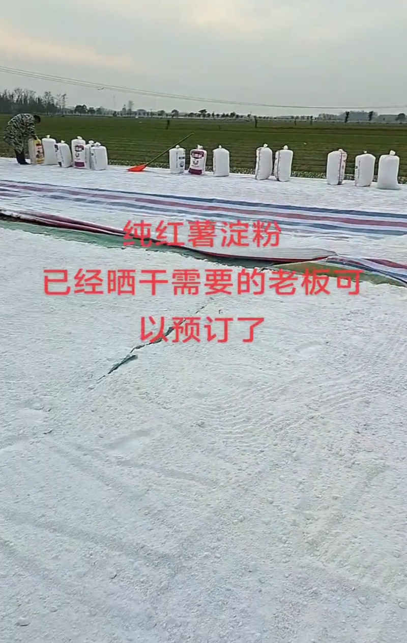 河南纯红薯淀粉
