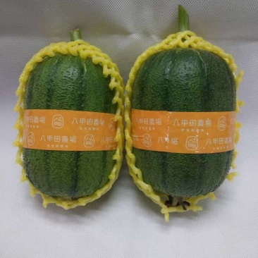 精品苹果丝瓜