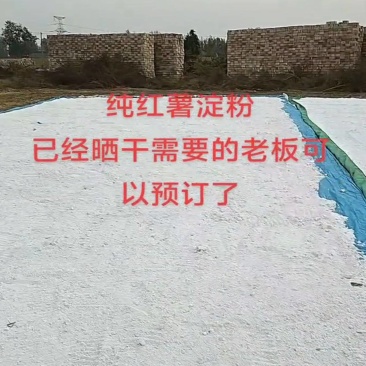河南纯红薯淀粉