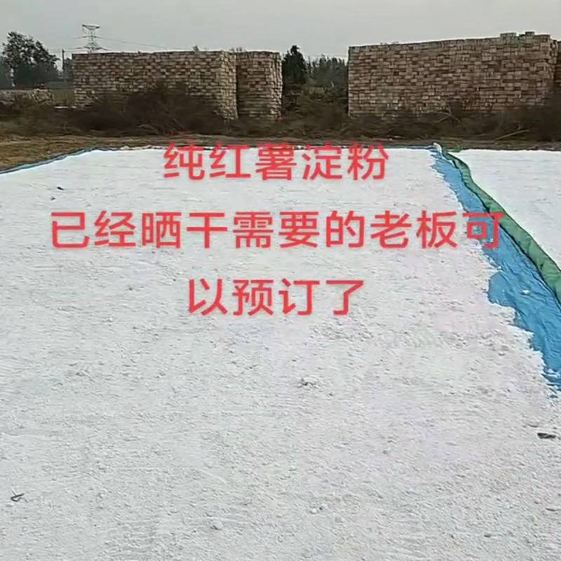 河南纯红薯淀粉