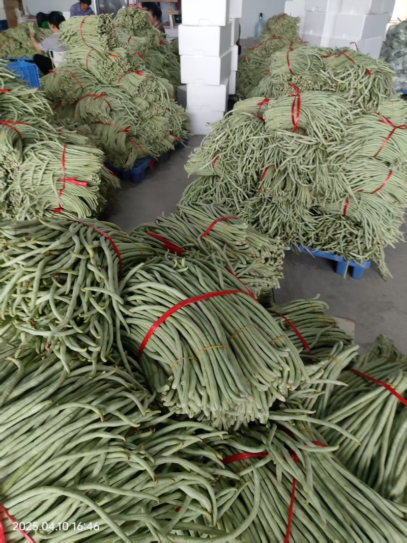 白豆角，大量上市，支持市场，超市，平台！！！