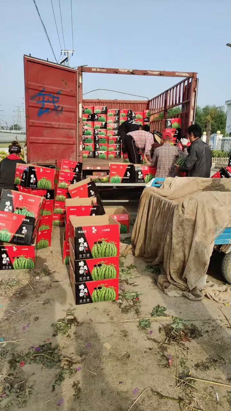 美都西瓜头茬无籽大量有货承接各大商超及电商欢迎咨询