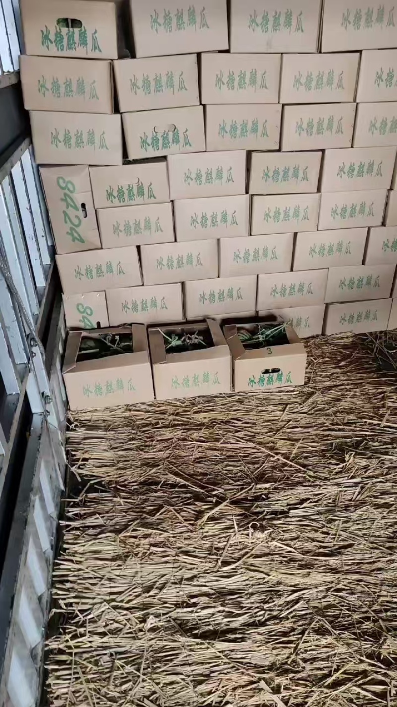 美都84西瓜量大从优产地直供对接全国商超，诚信经营