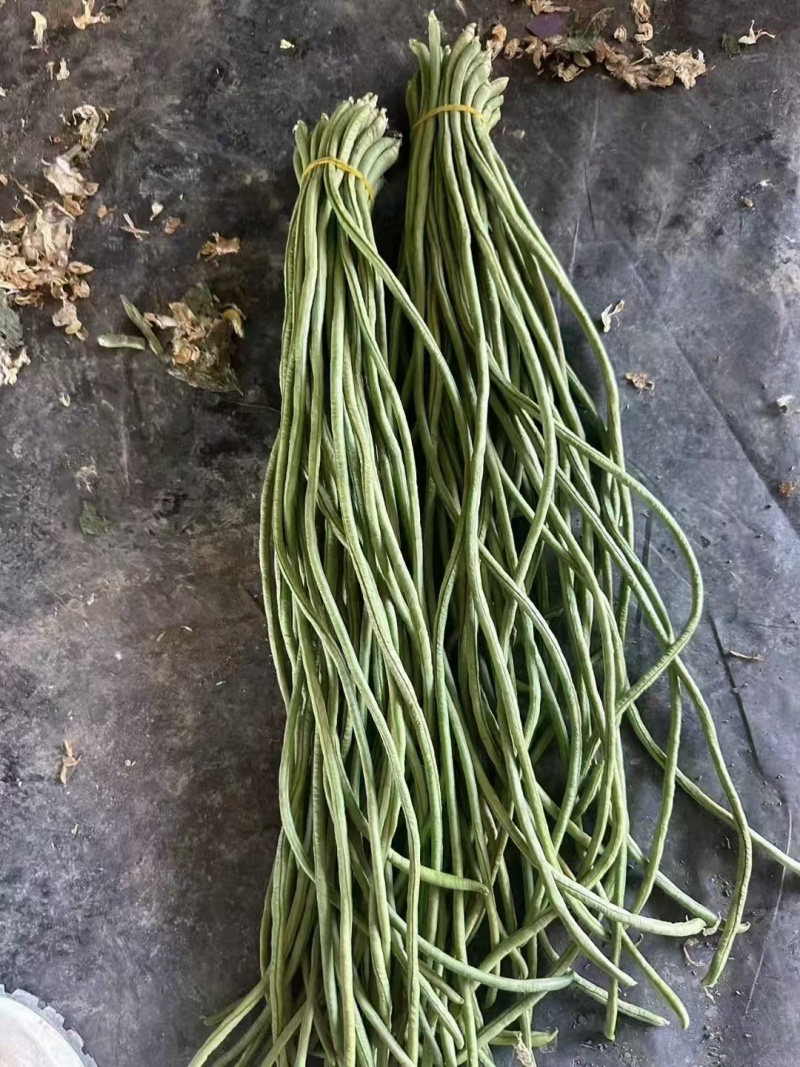 电商豆角青白产地直供量大从优可供商超可视频看诚信第一