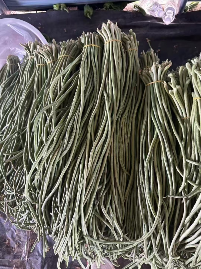 电商豆角青白产地直供量大从优可供商超可视频看诚信第一