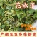 花椒芽沂蒙山花椒叶花椒2025现摘现发