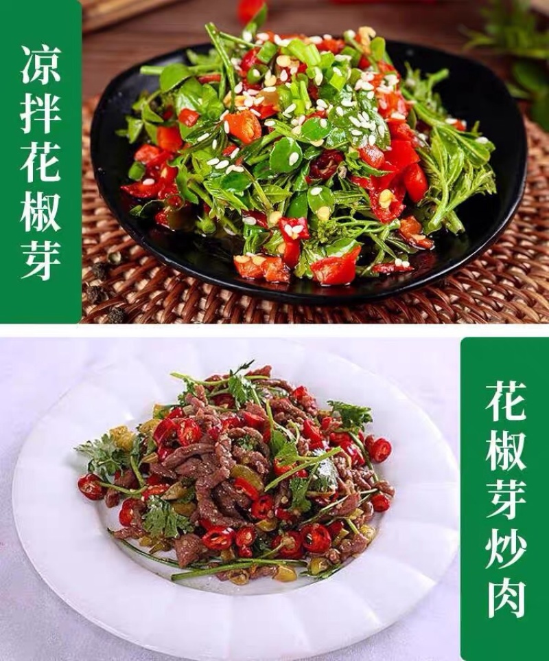 花椒芽沂蒙山花椒叶花椒2025现摘现发