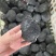 皮蛋黄心松花蛋无铅黄金工艺正宗鸭蛋整箱大个四川皮蛋糖心土