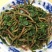 山东马齿苋菜新鲜马齿菜马蜂菜长命五行草蚂蚱菜中草药大量货