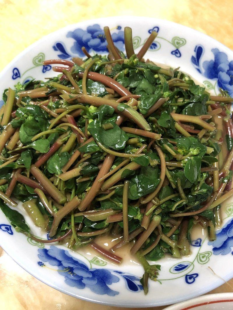 山东马齿苋菜新鲜马齿菜马蜂菜长命五行草蚂蚱菜中草药大量货