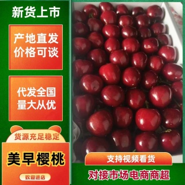 樱桃露天美早红灯樱桃批发承接电商市场代发