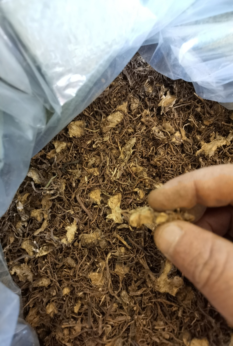 紫菀，水洗全切通货。陕西产地，品质保障