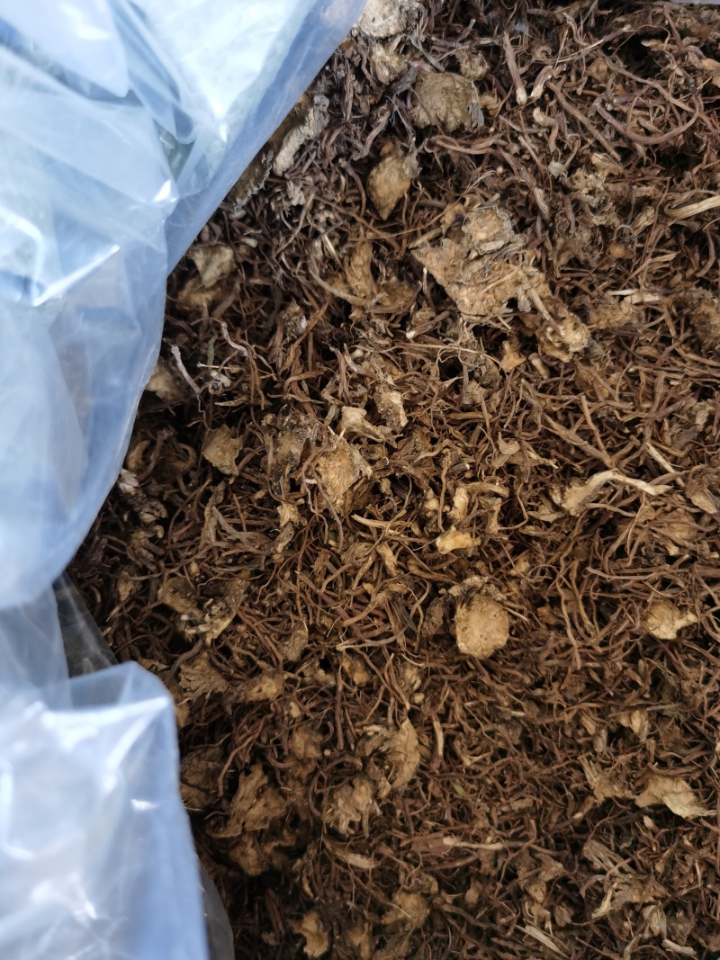 紫菀，水洗全切通货。陕西产地，品质保障