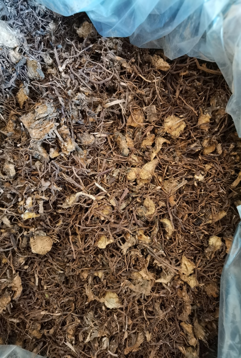 紫菀，水洗全切通货。陕西产地，品质保障