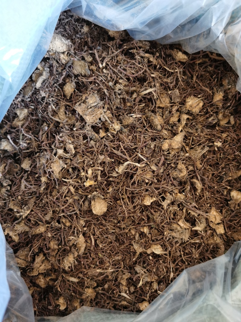 紫菀，水洗全切通货。陕西产地，品质保障