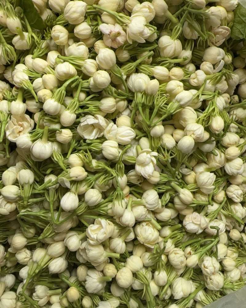 云南保鲜野菜花