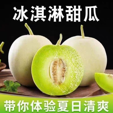 山东玉菇甜瓜冰淇淋香瓜一条龙服务实力供货专业代办
