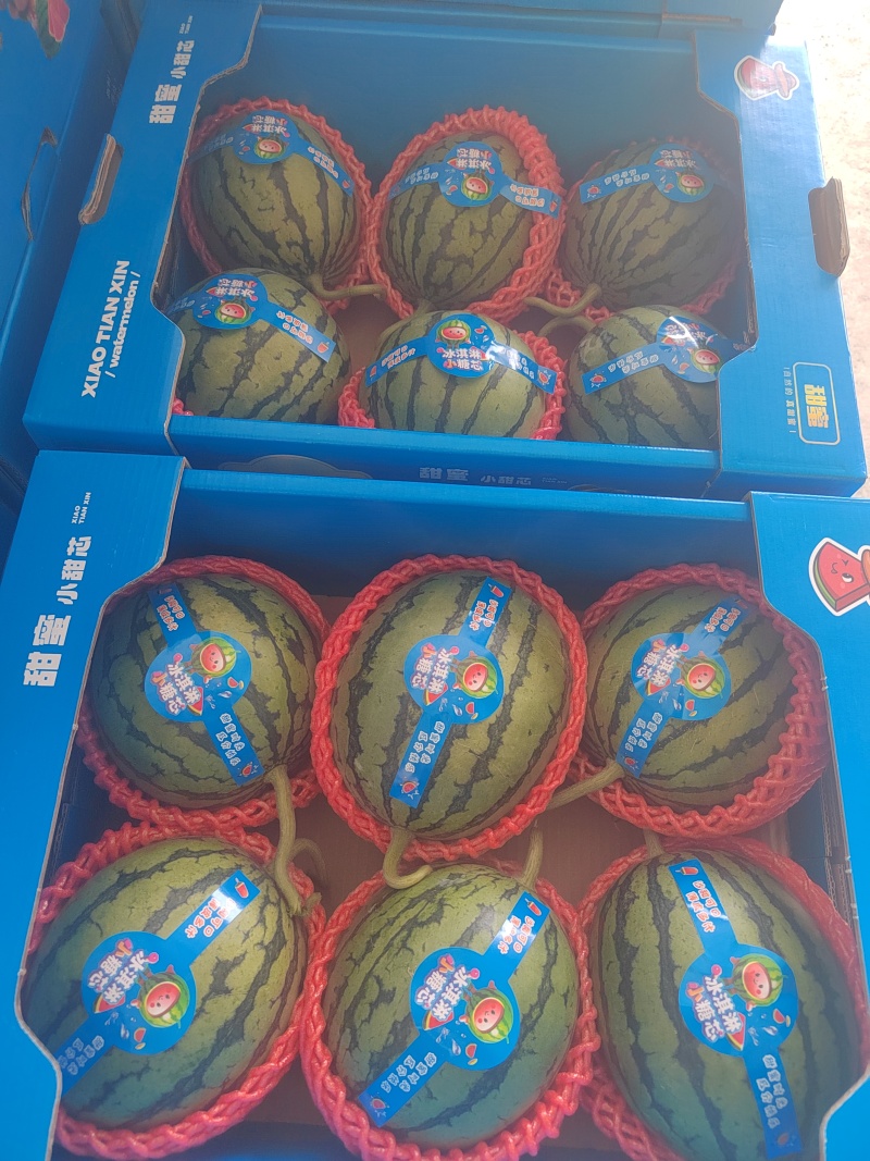 {实力}全美2k小糖心，甜度14，万亩基地，欢迎来电
