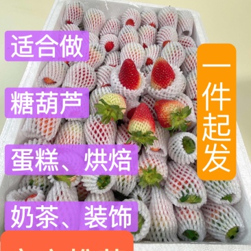 云南草莓双流草莓蒙特瑞5斤10斤糖葫芦蛋糕奶茶适用