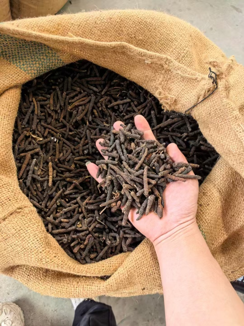 印尼水洗荜芨，条形大，无发霉，干度好,品质保证