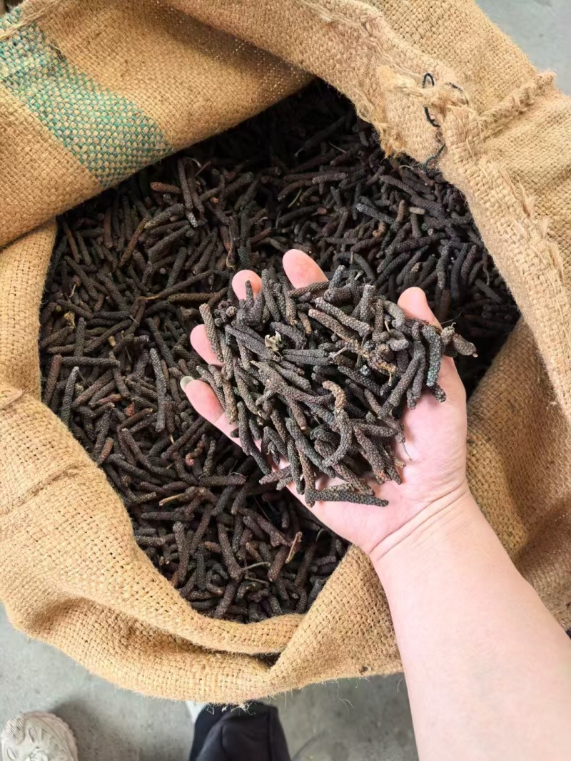 印尼水洗荜芨，条形大，无发霉，干度好,品质保证