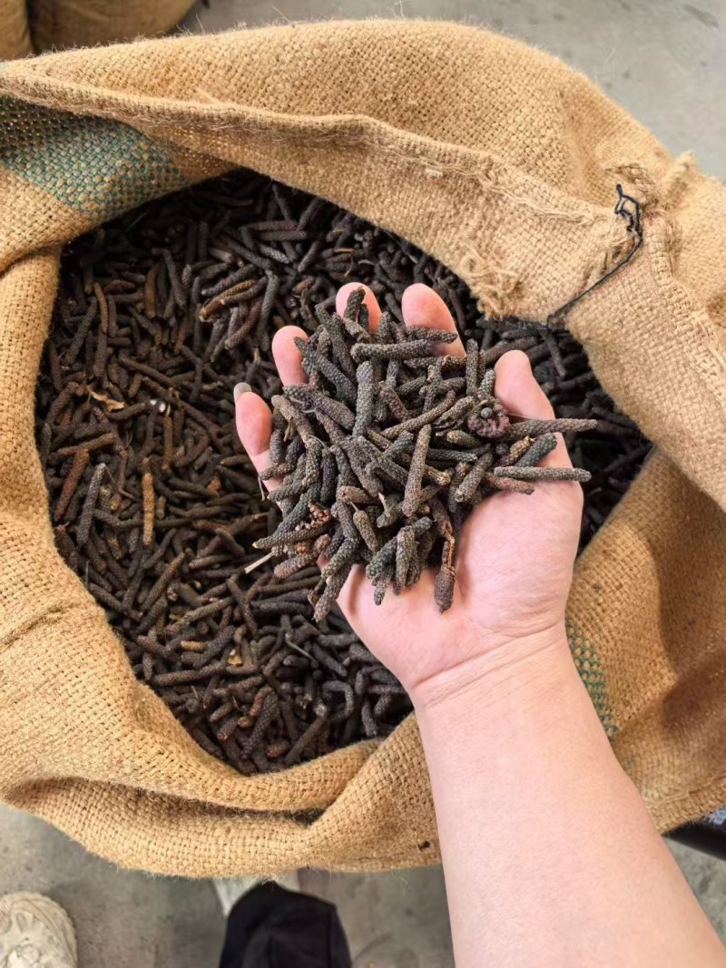 印尼水洗荜芨，条形大，无发霉，干度好,品质保证
