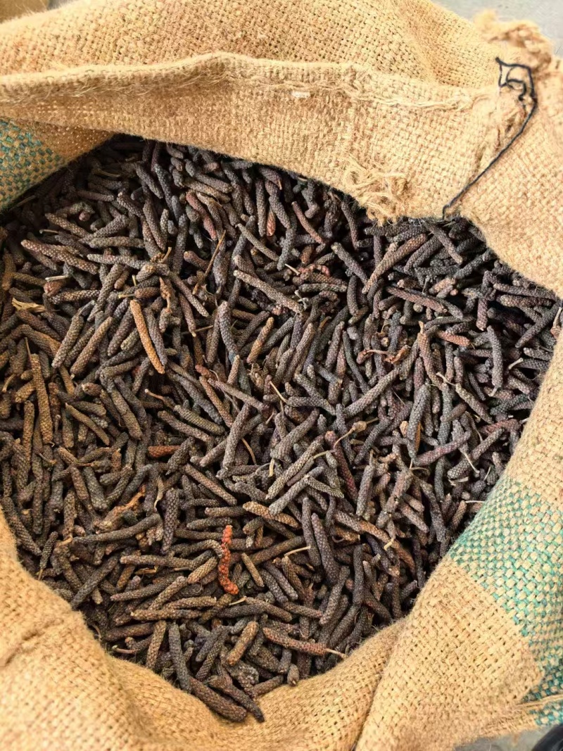 印尼水洗荜芨，条形大，无发霉，干度好,品质保证
