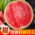 （东台西瓜）精品美都无籽/麒麟西瓜/台农种植/保质保量
