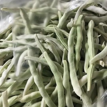 平度芸豆大量上市了
