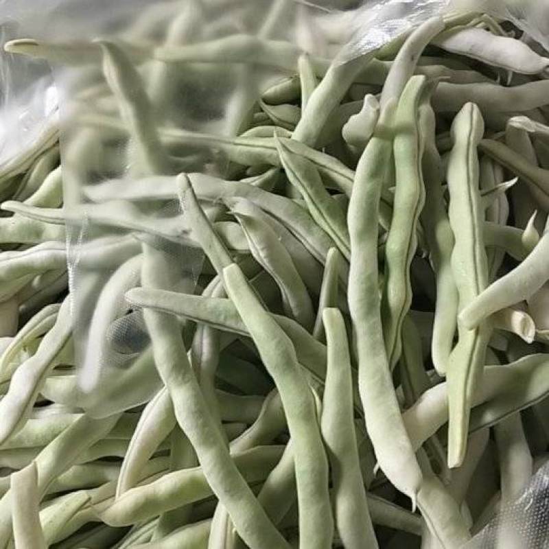 平度芸豆大量上市了