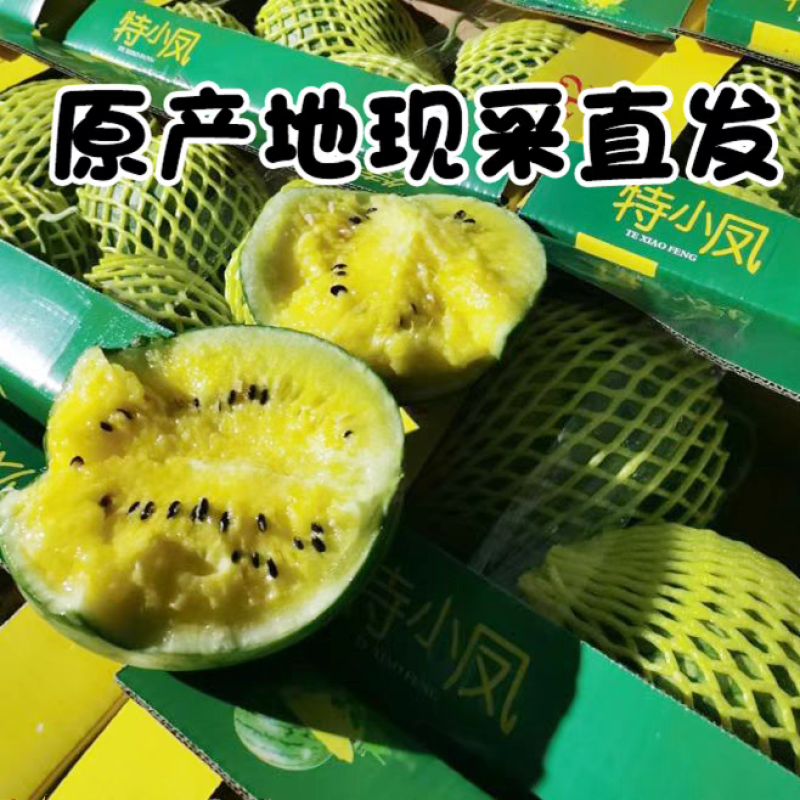 （盐城西瓜）特小凤西瓜/东台特小凤/冰淇淋西瓜/产地直发