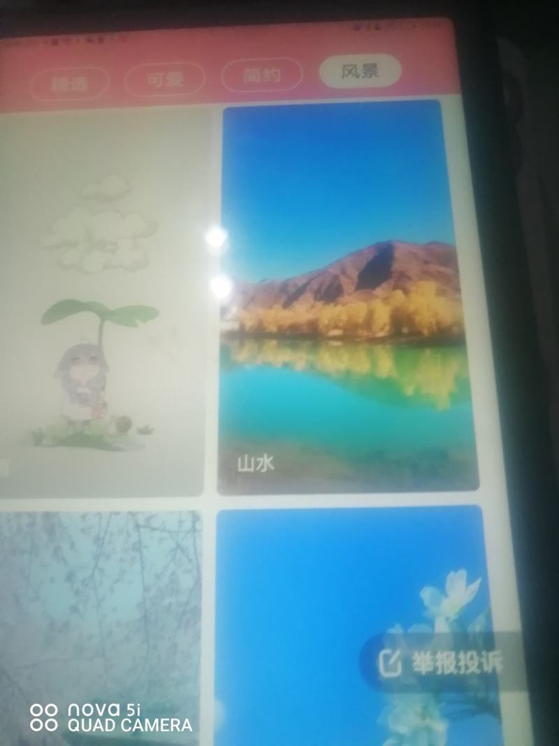 川黄豆