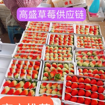 双流草莓夏季草莓蒙特瑞全国冷链空运支持出口有执照
