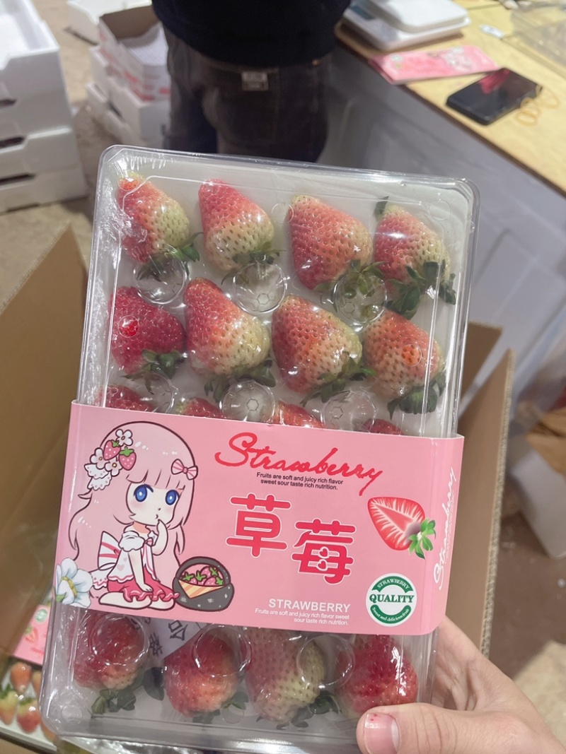 双流草莓夏季草莓蒙特瑞全国冷链空运支持出口有执照