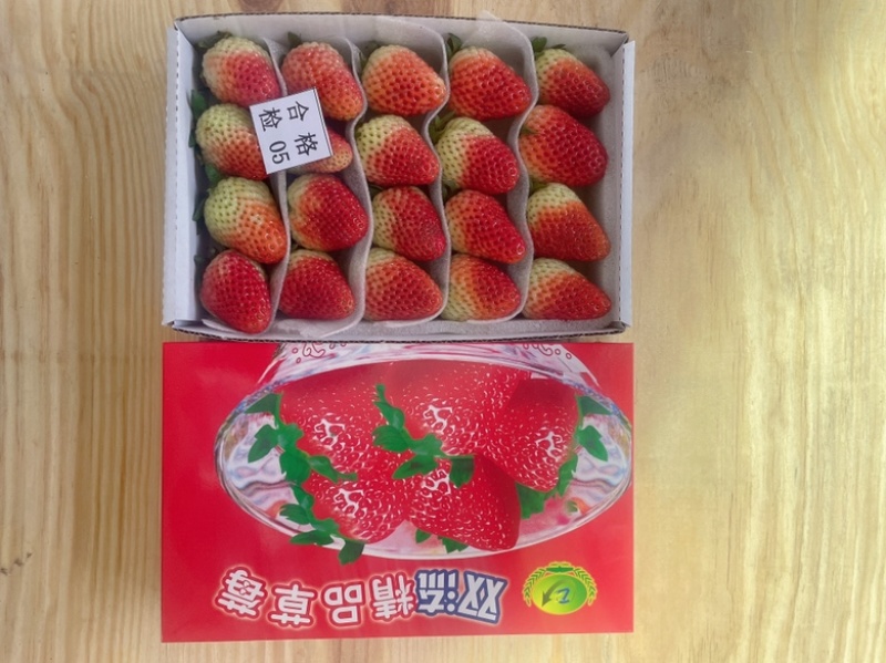 双流草莓夏季草莓蒙特瑞全国冷链空运支持出口有执照