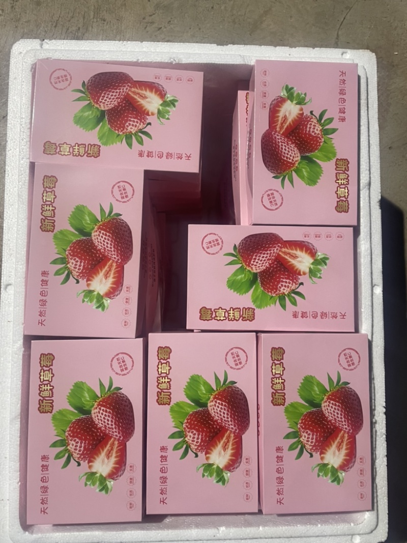 双流草莓夏季草莓蒙特瑞全国冷链空运支持出口有执照